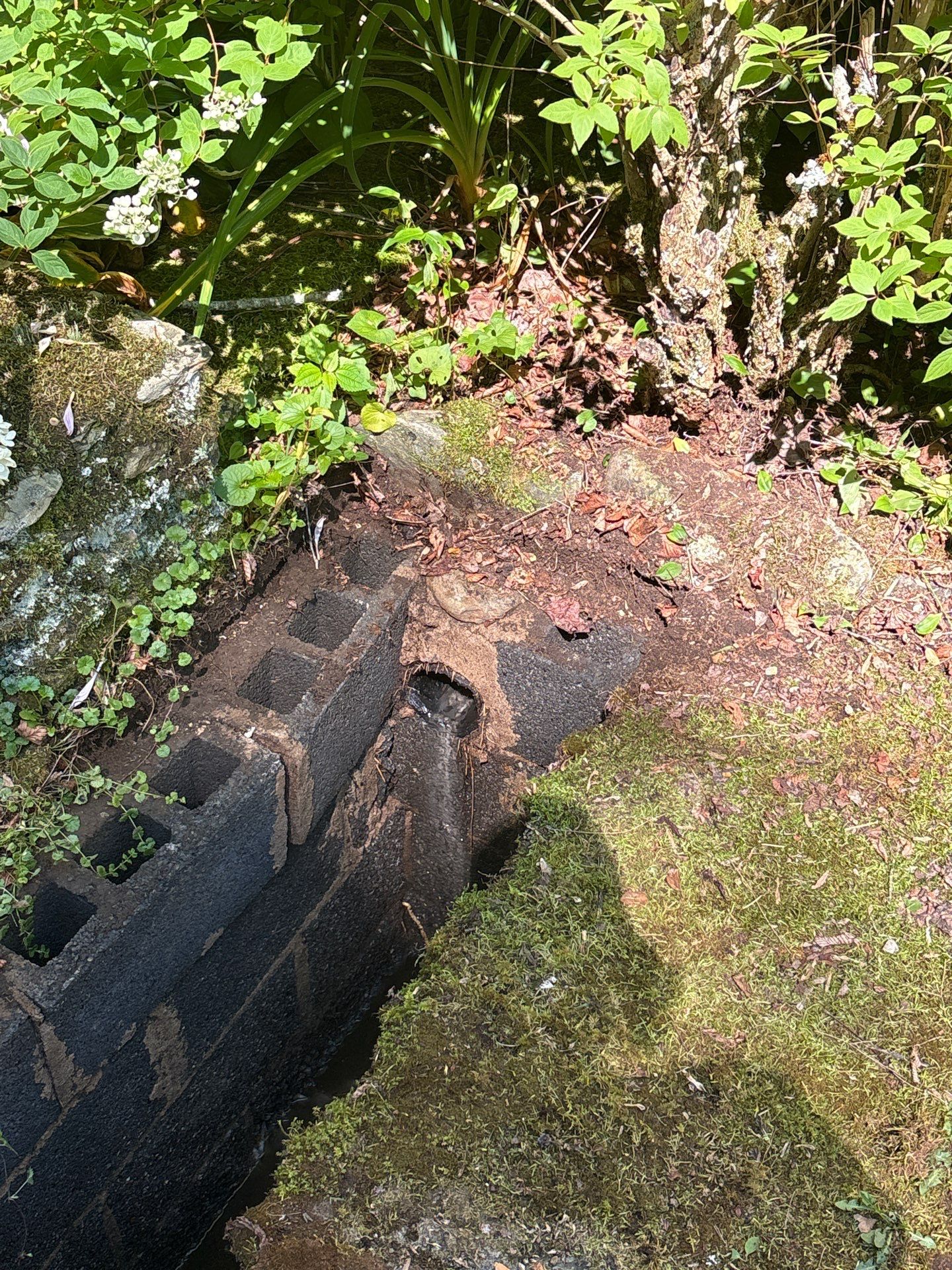 Storm drain cleanout access point for hydro jetting service.