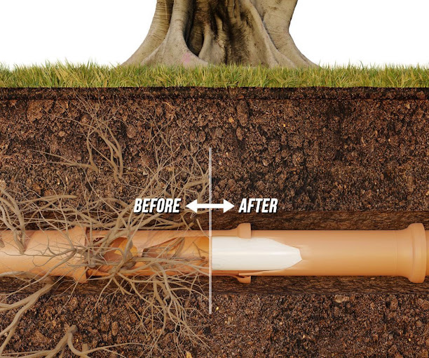 Cutaway view of a sewer line before and after CIPP lining: tree roots breaking into the pipe on the before side, a smooth cured liner sealing the pipe on the after side.