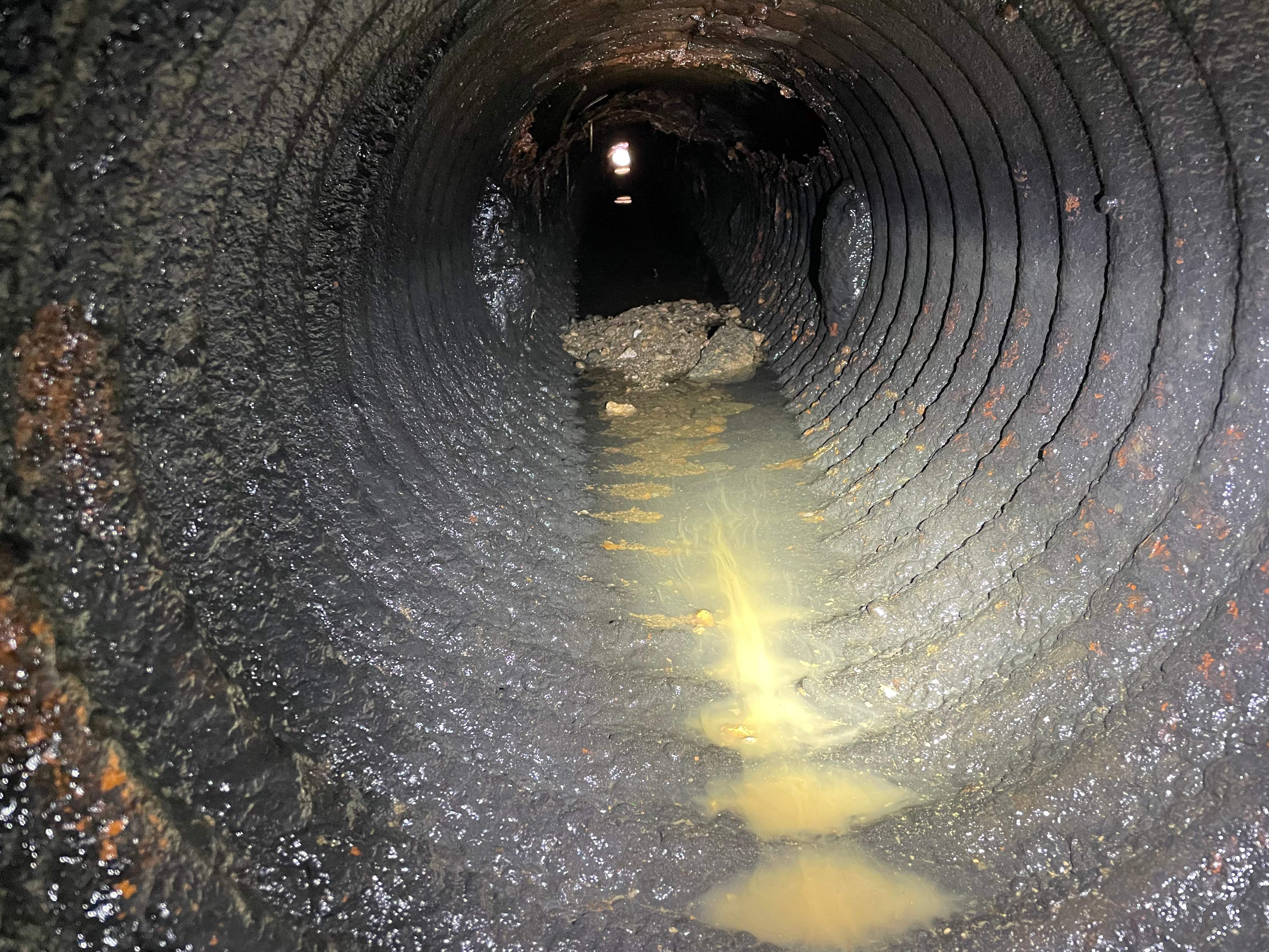 LiningWorks Trenchless Pipe Repair & Sewer Pipe Lining inspecting a clogged sewer line with standing water and debris during a storm drain system assessment.