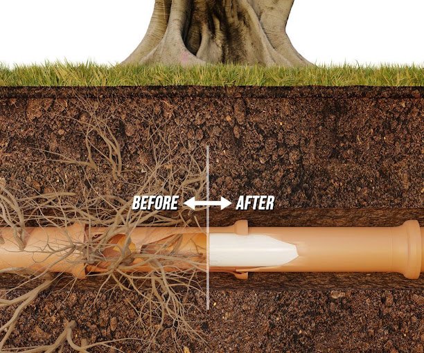 Illustration comparing a sewage pipe damaged by root intrusion and the same pipe after CIPP lining.