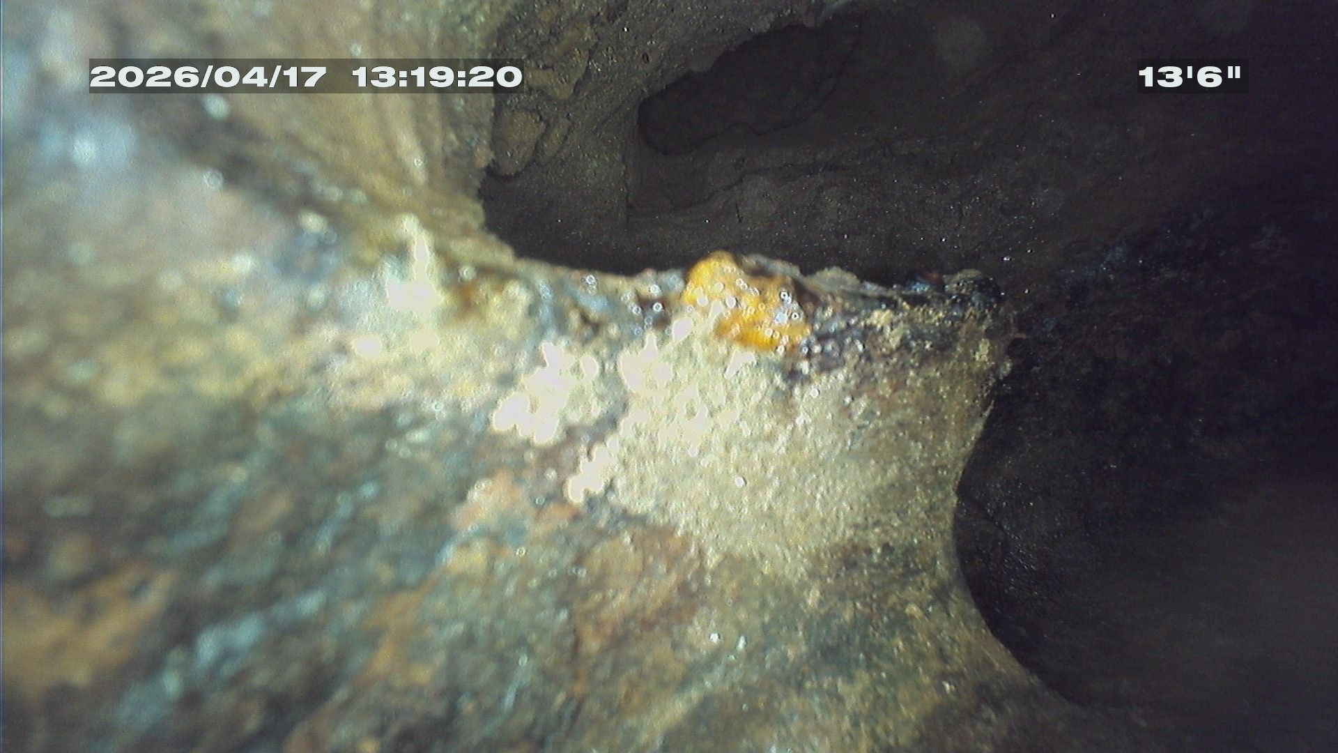 Storm drain pipe showing conditions that generate recurring blockages.