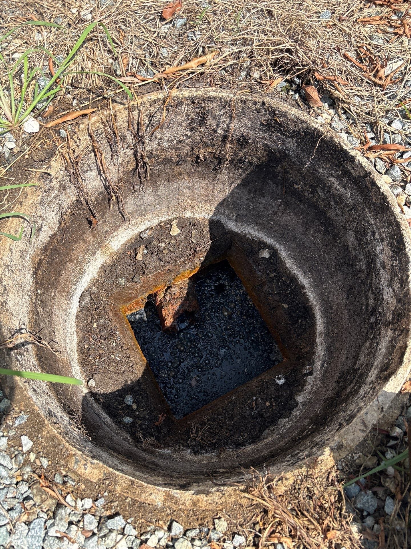LiningWorks technician inspecting root intrusion and blockages in a commercial drain access.